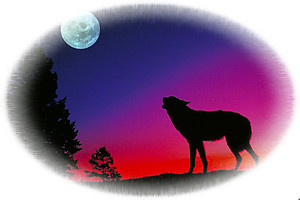 Wolf RV Mural for the back of your RV by the Square Foot
