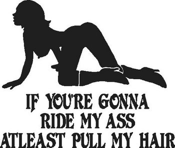 If you're gonna ride my ass, atleast pull my hair, Vinyl cut decal