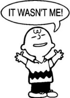 Charlie Brown, It wasn't me!, Vinyl cut decal