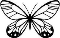 Butterfly, Vinyl cut decal