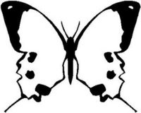 Butterfly, Vinyl cut decal