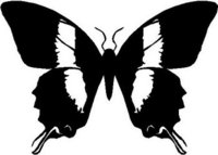 Butterfly, Vinyl cut decal