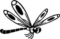 Dragon Fly, Vinyl decal Sticker 