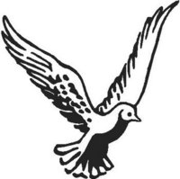 Flying Dove, Vinyl cut decal