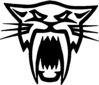 Artic Cat, Vinyl decal sticker