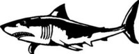 Shark, Vinyl cut decal 