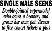 Single Male Seeks, Vinyl decal sticker