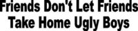 Friends don't let friends take home ugly boys, Vinyl decal sticker