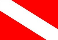 Driver Down Flag