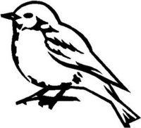 Bird, Vinyl cut decal