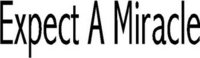 Expect A Miracle, Vinyl cut decal