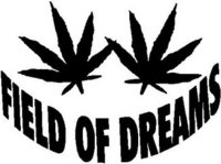 Field of dreams, with pot leaves, Vinyl cut decal
