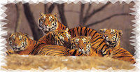 Tigers Mural for your Rv by the Square Foot