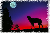 Wolf Mural for your Rv by the Square Foot