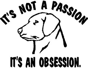 It's not a passion, It's an obseeion, With a Lab, Dog, Vinyl cut decal