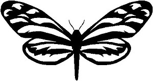 Butterfly, Vinyl cut decal
