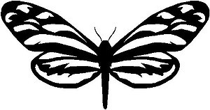 Butterfly, Vinyl cut decal