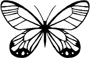 Butterfly, Vinyl cut decal