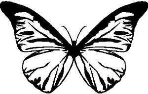 Butterfly, Vinyl cut decal