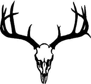 Deer Skull, Rack, Antlers, Vinyl cut decal