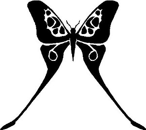 Butterfly, Vinyl cut decal