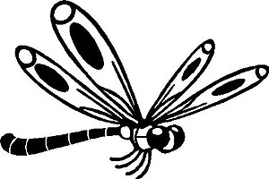 Dragon Fly, Vinyl decal Sticker 