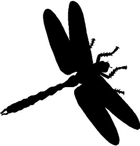 Dragon Fly, Vinyl decal Sticker 