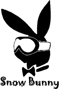 Snow Bunny, Playboy, Vinyl cut decal