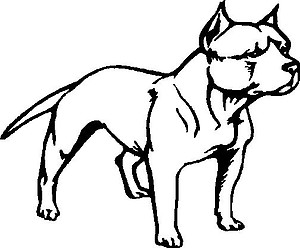 Pit bull, Vinyl decal sticker 