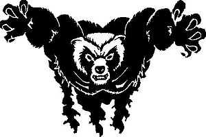 Bear, Vinyl decal sticker