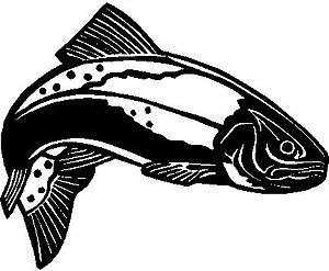 Trout fish, Vinyl decal sticker