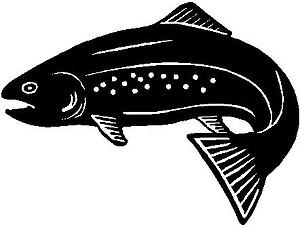 Trout fish, Vinyl decal sticker