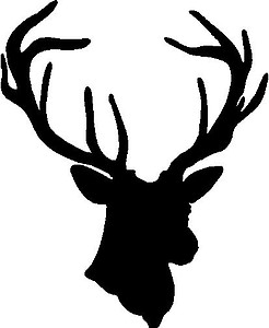 Deer, Buck, Vinyl decal sticker