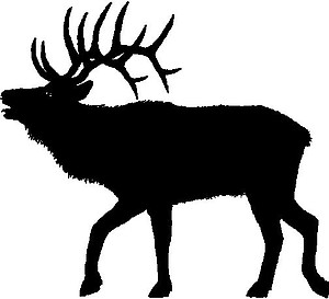 Elk, Vinyl cut decal