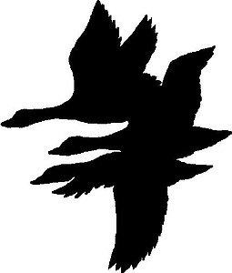 Flying Ducks, Vinyl cut decal