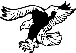 Flying eagle, Vinyl decal sticker