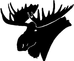 Moose Head, Vinyl cut decal