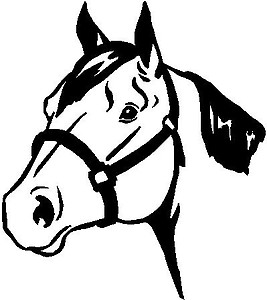 Horse head, Vinyl decal sticker