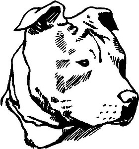 Pit Bull Head, Vinyl cut decal