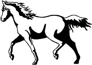 Horse, Vinyl Cut Decal