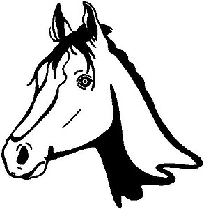 Horse Head, Vinyl Cut Decal