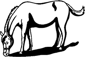 Horse, Vinyl Cut Decal