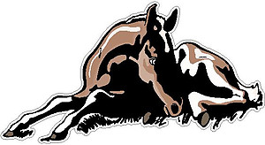 Horse Lying in the grass, Full color decal