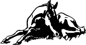 Horse Lying in the grass, Vinyl Cut Decal