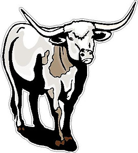 Bull, Full color decal