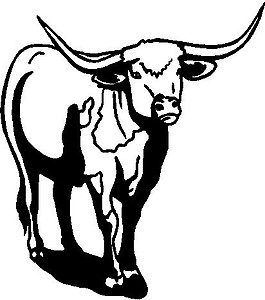 Bull, Vinyl cut decal