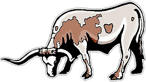 Bull, Full color decal