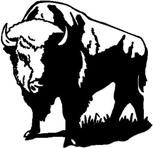 Buffalo, Vinyl cut decal