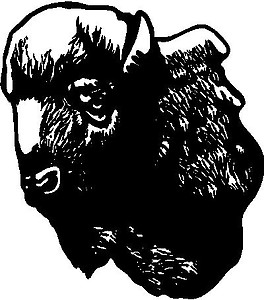 Buffalo Head, Vinyl Cut decal