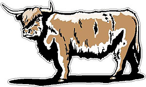 Bull, Full color decal